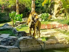 -深圳野生动物园