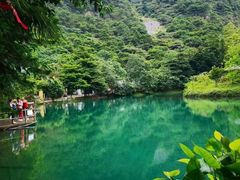 -鼎湖山风景区