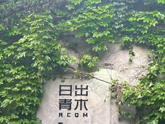 -日出青木
