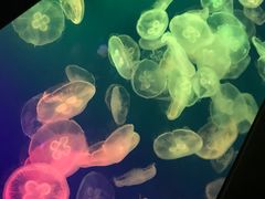 -成都浩海立方海洋公园