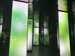 -中国湿地博物馆