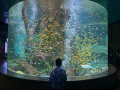 -合肥海洋世界