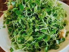 香椿苗-民族饭荘(新华大街店)