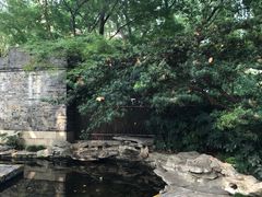 -静安公园(静安寺街道)