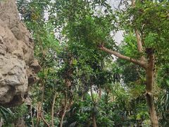 -北京植物园-展览温室