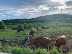 -塞罕坝国家级自然保护区