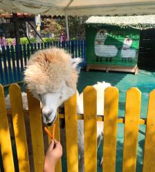 -萌宠亲子动物乐园(槐房万达店)