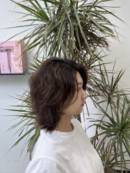 -FINE HAIR 烫染专业设计
