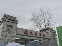 -武汉关码头(轮渡站)