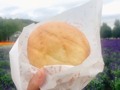 -富田农场