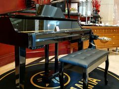 -上海安亭别墅花园酒店