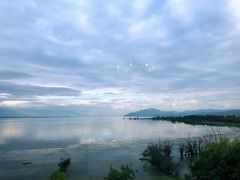 -野菌皇海景野生菌火锅(滨海大道店)