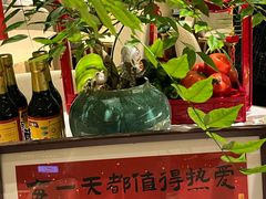 -蓉城小馆(科兴店)