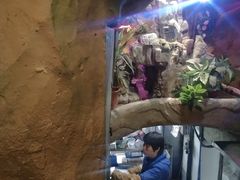 -醉小酒馆·川菜·江湖菜·重庆菜(观音桥旗舰店)