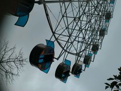 android_upload_pic-广东茂名森林公园