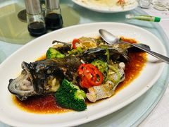 -绿岛国际酒店·海鲜酒楼(八七路店)