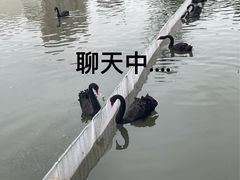 -李自健美术馆
