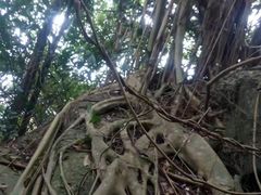 -海南文笔峰盘古文化旅游区