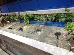 -火锅岛潮牌自助餐厅(天津天佑城店)