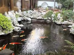-鲤院·新中式美学·庭院餐厅(夫子庙店)