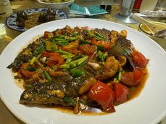 -生态苑农庄(十里画廊遇龙河店)
