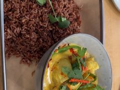 -Wagas沃歌斯(汇智店)