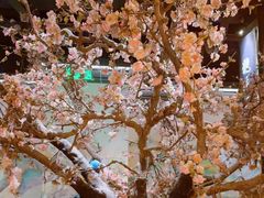 -绿茶餐厅(朝阳大悦城店)