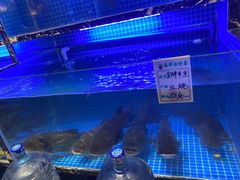 -姜君·千岛湖鱼头馆(浦东大道店)