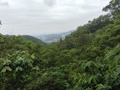 -大屏嶂森林公园