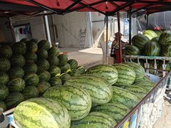 -大连果菜批发市场