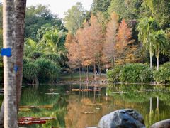 -中国科学院西双版纳热带植物园