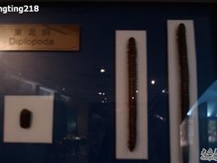 -上海昆虫博物馆