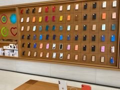 -Apple零售店(苏州店)