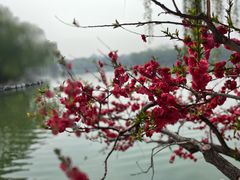 -陶然亭公园