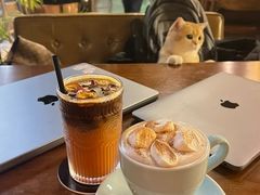 -咖法森林·咖啡  酒吧(天河店)