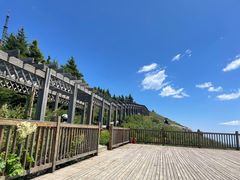 -白草畔自然风景区