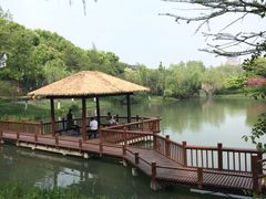 -圩墩遗址公园