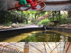 -融汇温泉