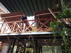 -Rainforest