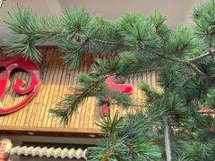-羊家胡同·龙虾烧烤火锅(龙汇路店)