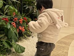 -北京河南大厦酒店