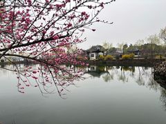 -无锡蠡湖国家湿地公园-蠡园