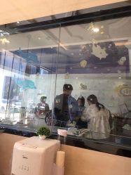 -诗安嘉康月子中心(未来方舟店)