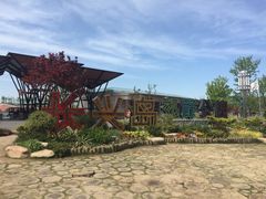 -上海长兴岛郊野公园