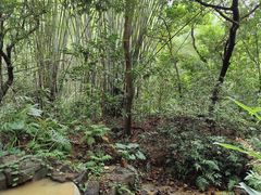 -广州市白云山风景名胜区