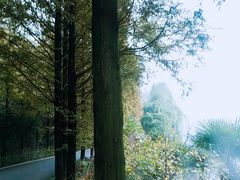 -石燕湖生态旅游景区