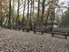 -江西龙虎山景区