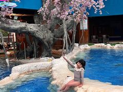 -中铁花水湾温泉酒店(大邑店)