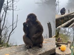 -峨眉山风景名胜区