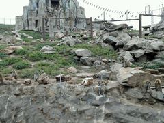 -石家庄市动物园